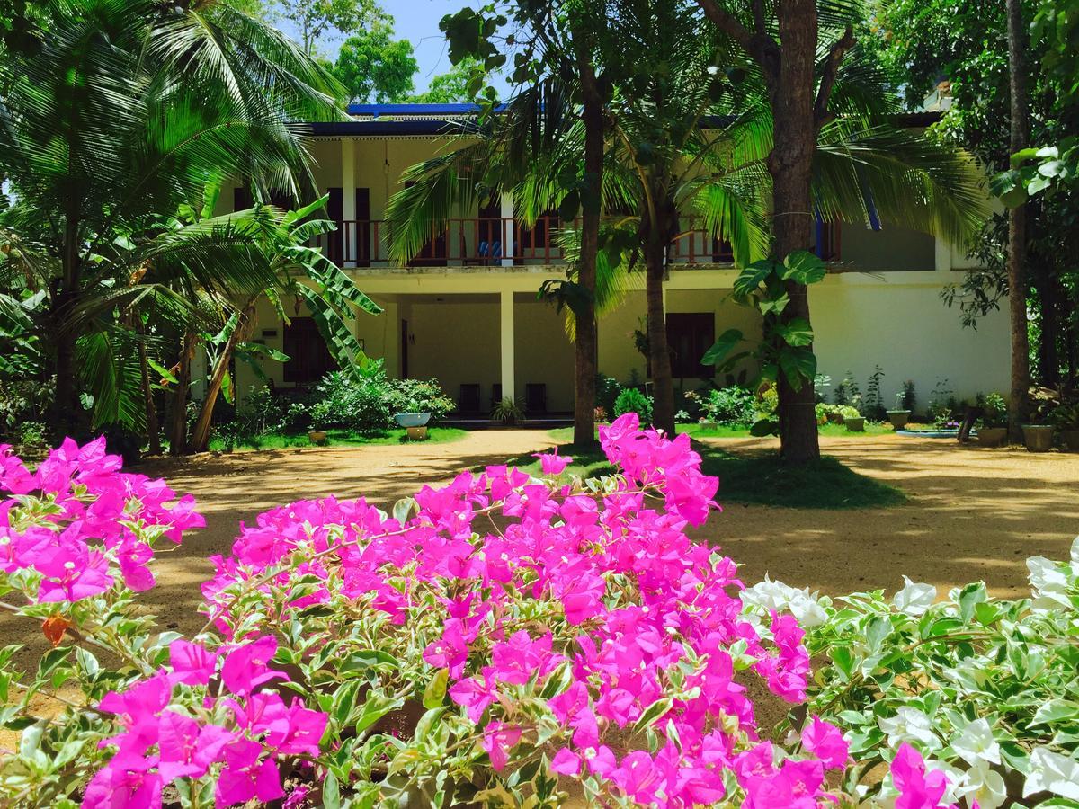 Sigiri Rainbow Lodge Sigiriya Exterior photo