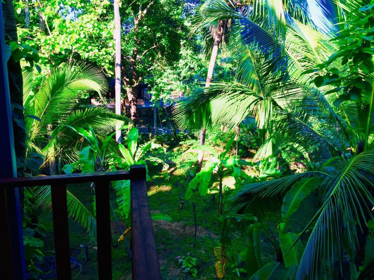 Sigiri Rainbow Lodge Sigiriya Exterior photo