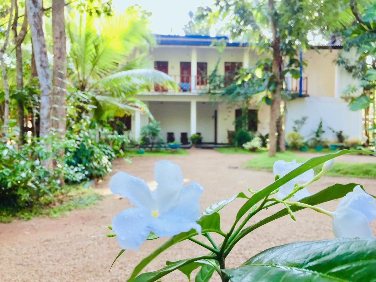 Sigiri Rainbow Lodge Sigiriya Exterior photo