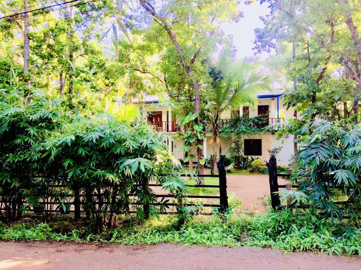 Sigiri Rainbow Lodge Sigiriya Exterior photo